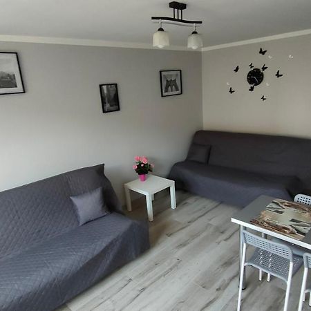 Apartament Cichy Kacik Zator Tylko 1Km Od Energylandii Esterno foto