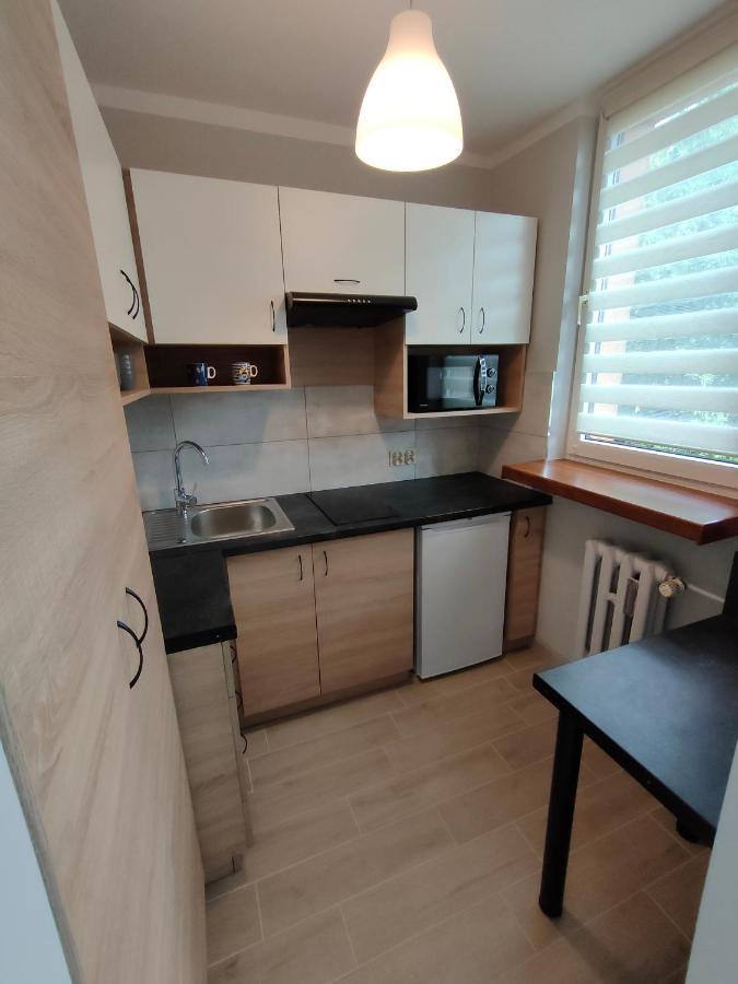 Apartament Cichy Kacik Zator Tylko 1Km Od Energylandii Esterno foto